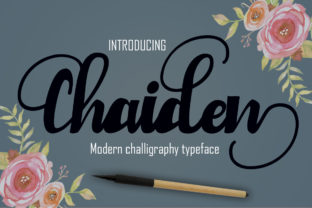 Chaiden Font: A Playful Typeface for Branding