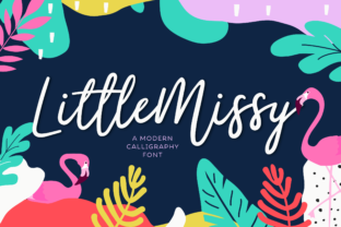 Little Missy Font: A Web Designer’s Guide