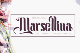 Marsellina Font: A Campaigner’s Review